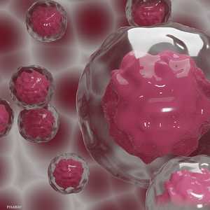 الدراسة تستلزم دراسات أخرى لاحقة لإثباتها