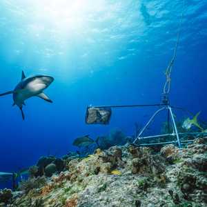 المنطقة شهدت هجمات مشابهة مؤخرا