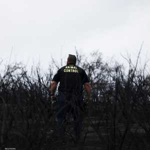 الحرائق التهمت آلاف الأفدنة من غابات كاليفورنيا