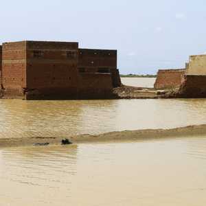 أعلى نسبة وفاة (26) سجلت بشمال كردفان