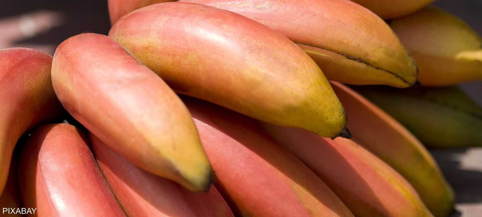 فوائد عظيمة للموز الأحمر