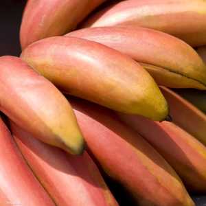 فوائد عظيمة للموز الأحمر