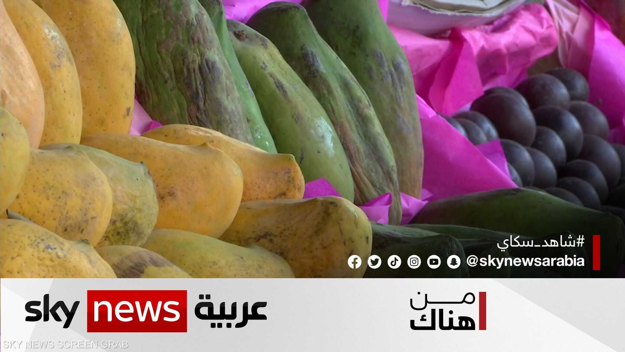 فاكهة المانغو المصرية.. أصناف ومذاقات تفتح شهيةَ الأسواق