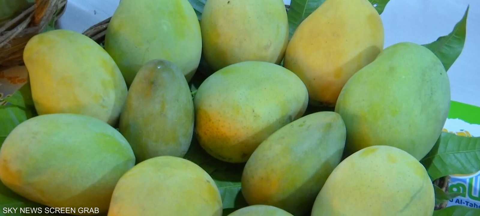 المانغو