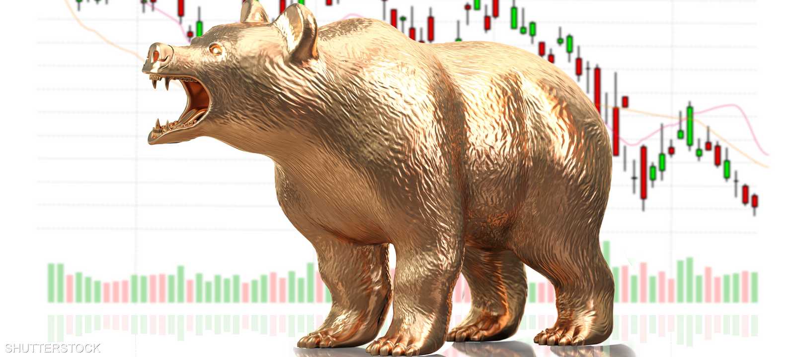 السوق الهابطة Bearish Market