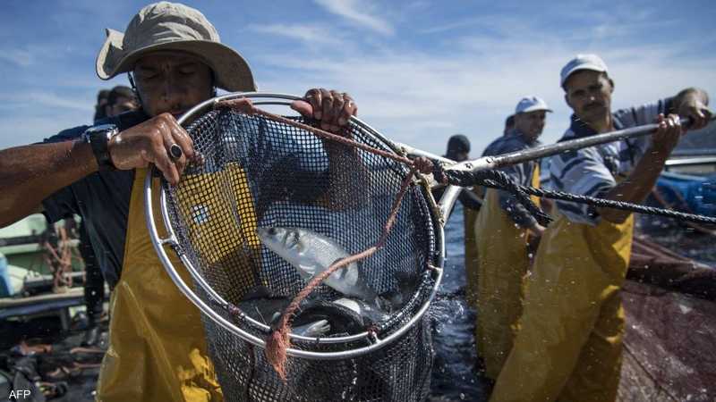 قررت الحكومة المغربية منع صيد عدد من الأحياء البحرية