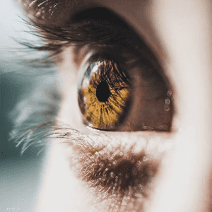 العين تكشف الكثير عن صحة الإنسان