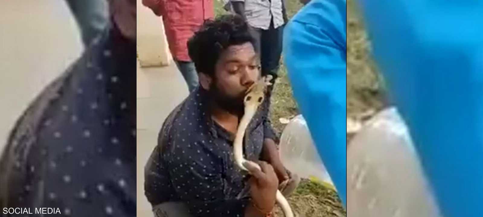الشاب قبّل أفعى من نوع "كوبرا"