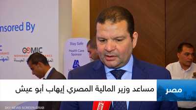 مساعد وزير المالية المصري  إيهاب أبو عيش