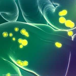 دراسة: ارتفاع ضغط الدم يسبب تدهورا إدراكيا أسرع