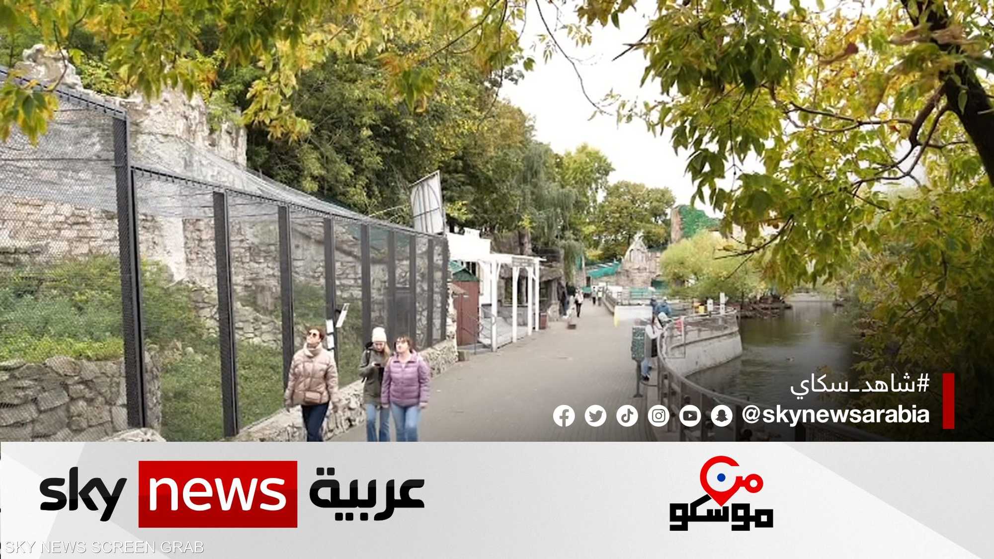 نهاية سعيدة لدب حديقة الحيوان