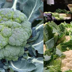 يتمتع البروكلي والقرنبيط بفوائد غذائية عديدة..أرشيفية