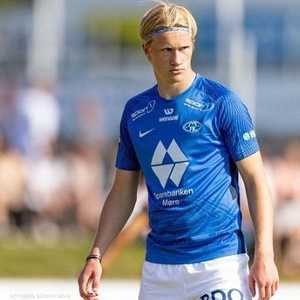 ألبرت هالاند