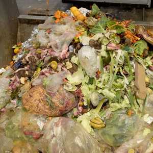 أرشيفية.. يتم رمي كميات كبيرة من الطعام في حاويات القمامة