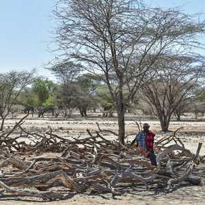 تبرز المجاعة كأحد أكثر المخاوف المرتبطة بموجة الجفاف