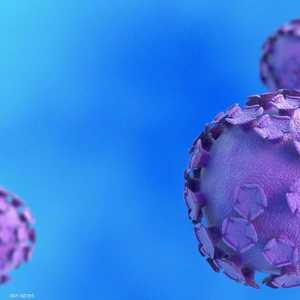 الفحص يكشف إصابة المرأة بـ4 أنواع من السرطانات.