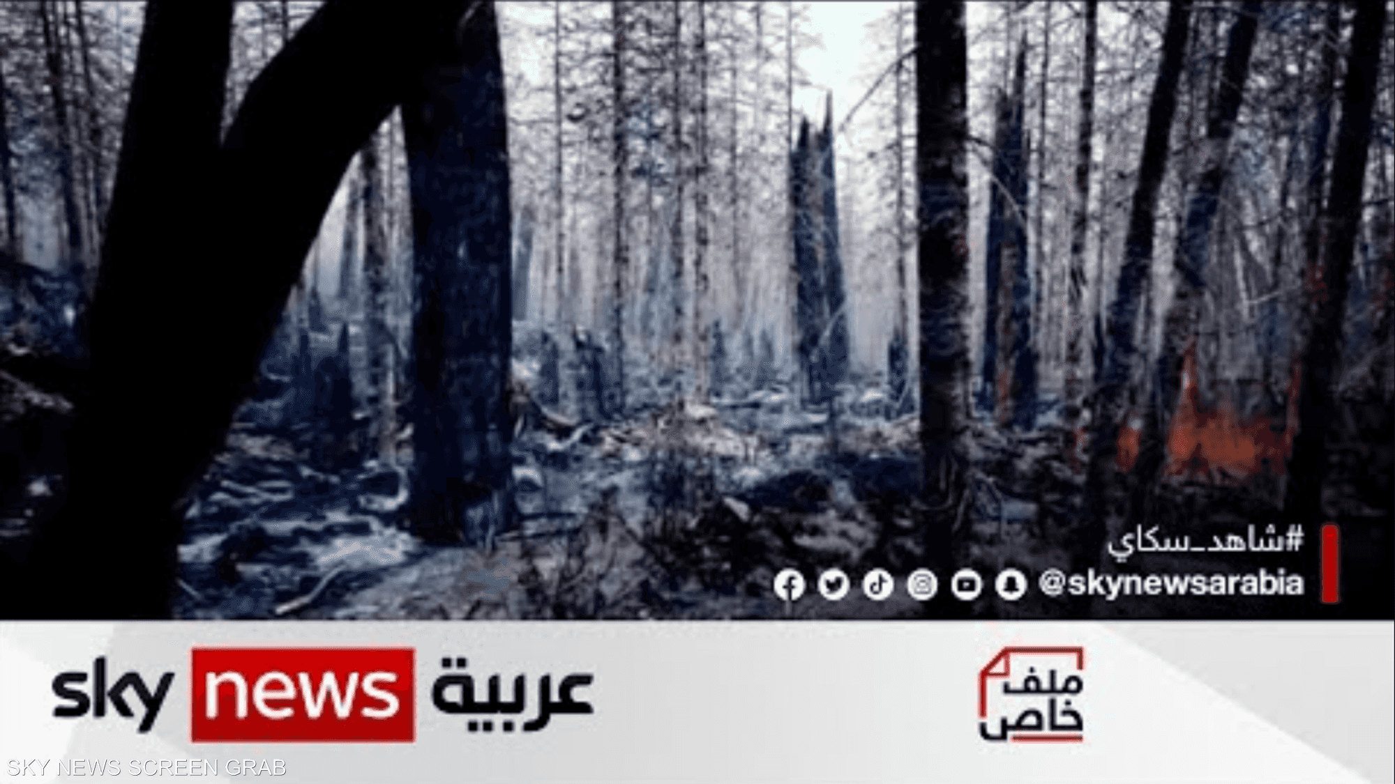 نداء الأرض .. نزيف مستمر