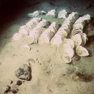 صورة أرشيفية لأشياء عثر عليها في حطام "تايتانيك"