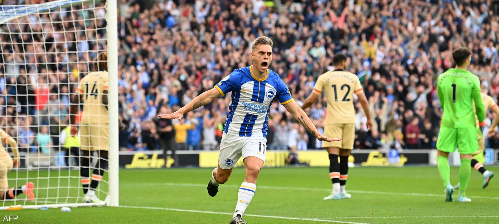 لياندرو تروسار افتتح التسجيل لبرايتون