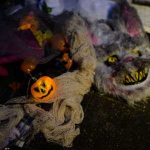 رعب حقيقي في عيد الهالوين