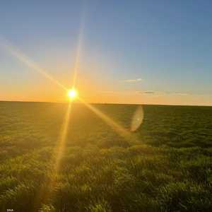 نجح المشروع في انتاج 15 مليون متر مكعب سنويا من المياه