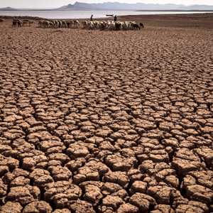 المغرب.. موسم الجفاف يثقل كاهل الفلاحين ومربي الماشية