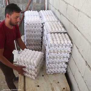 فلسطينيون يصنعون أطباق بيض صديقة للبيئة