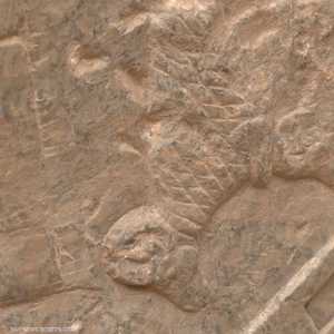 جداريات آشورية مكتشفة حديثا تتحدث عن ماض ضارب عمق التاريخ