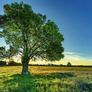 يخلق التسميد البشري بيئة مثالية للميكروبات المفيدة