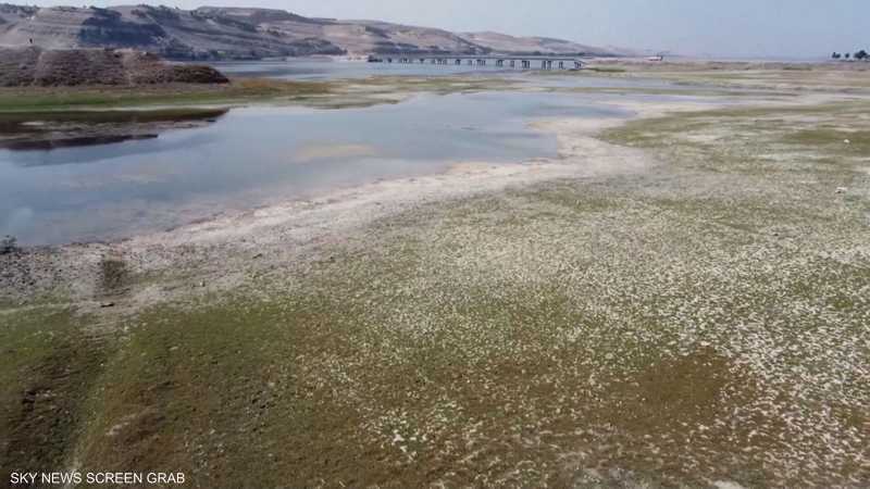 خبراء بيئيون: منطقة "الهلال الخصيب" تتلاشى بسبب ندرة الأمطار