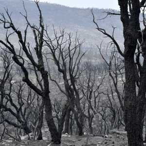 الحرائق خلفت عشرات الضحايا وأضرار مادية كبيرة