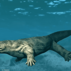 الحيوان عاش قبل ملايين السنين