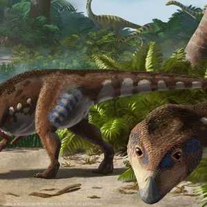 "ترانسيلفانوسورس بلاتيسيفالوس" عاش منذ حوالي 70 مليون سنة