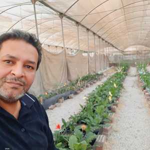 تخرج أبو السعود في من جامعة عين شمس عام 1993