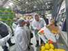 صادرات مصر الزراعية تغزو أسواق الفلبين لأول مرة