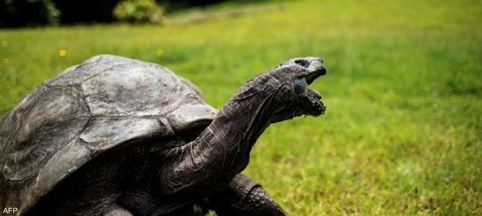 جوناثان ولد في العصر الجورجي وتحديداً عام 1832