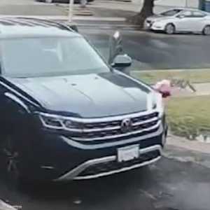 لحظة هجوم الذئب