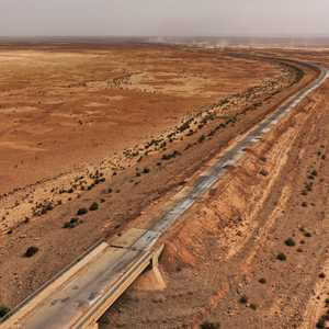 في يوم التربة.. ما أهمية التربة الصحية للأمن الغذائي؟