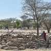 الصومال يعاني "أزمة جفاف تاريخية"