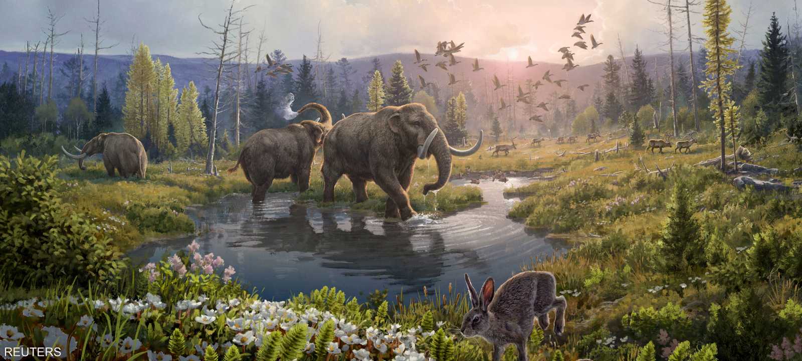 الاكتشاف قد يعيد تشكيل فهمنا لمنطقة غرينلاند