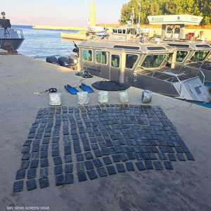 المواد المخدرة المضبوطة