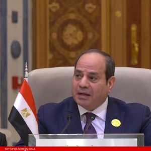 الرئيس المصري عبد الفتاح السيسي