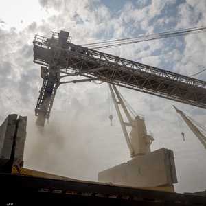 تصدير الحبوب