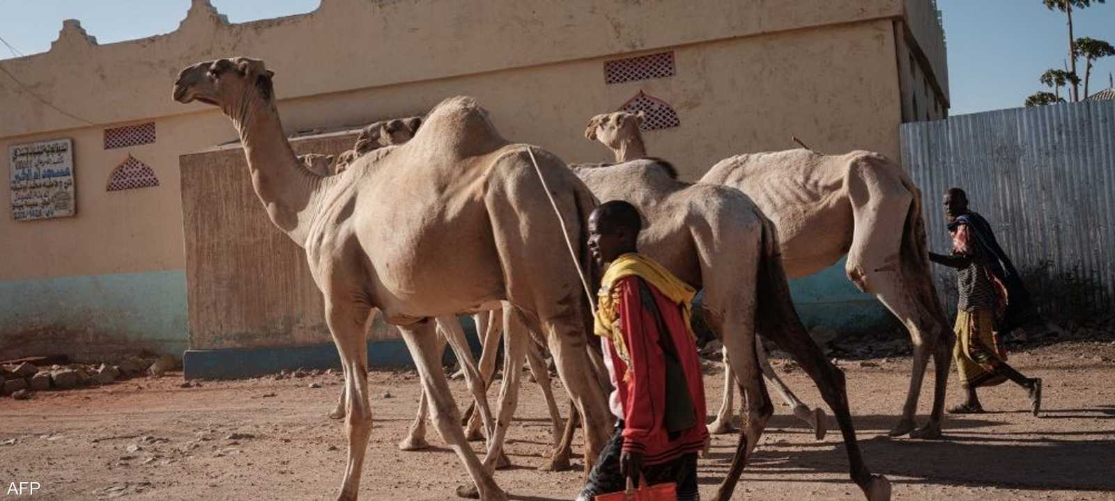 جمال تعاني من سوء التغذية في قرى الصومال