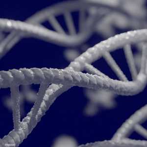 يختبر العلماء علاجا جينيا لشفاء مرض جلدي نادر