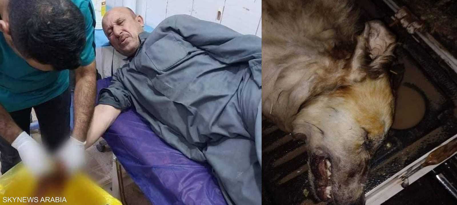 هجوم جديد من قبل الذئاب على إحدى القرى بناحية العكيكة