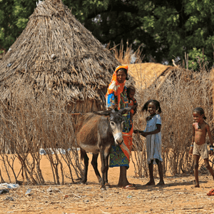 العديد من  القرى تعرضت للنهب والسلب والحرق.