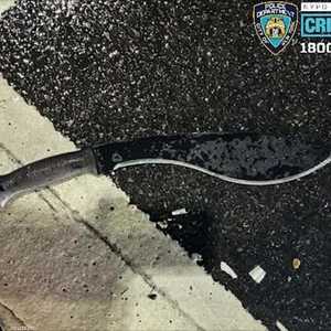 السلاح الذي تم استخدامه في تنفيذ الجريمة