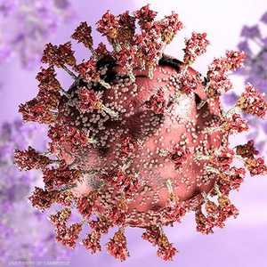 المتحور المذكور ينتمي إلى "أوميكرون"