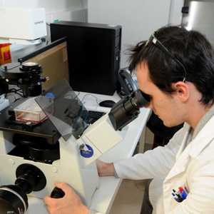 أبحاث طبية: زرع الخلايا الجذعية يعالج سرطان الغدة اللمفاوية